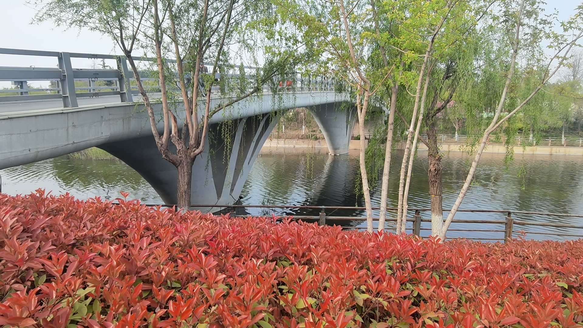  鋼模板
